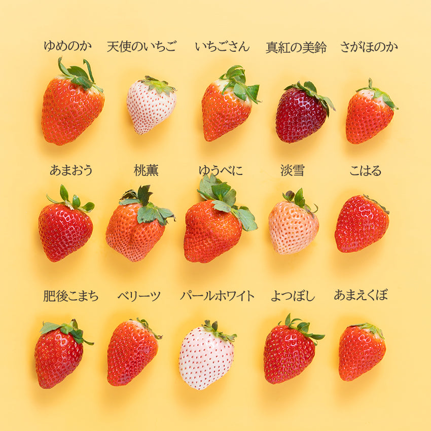 いちご12種食べ比べ| 南国フルーツオンラインストア