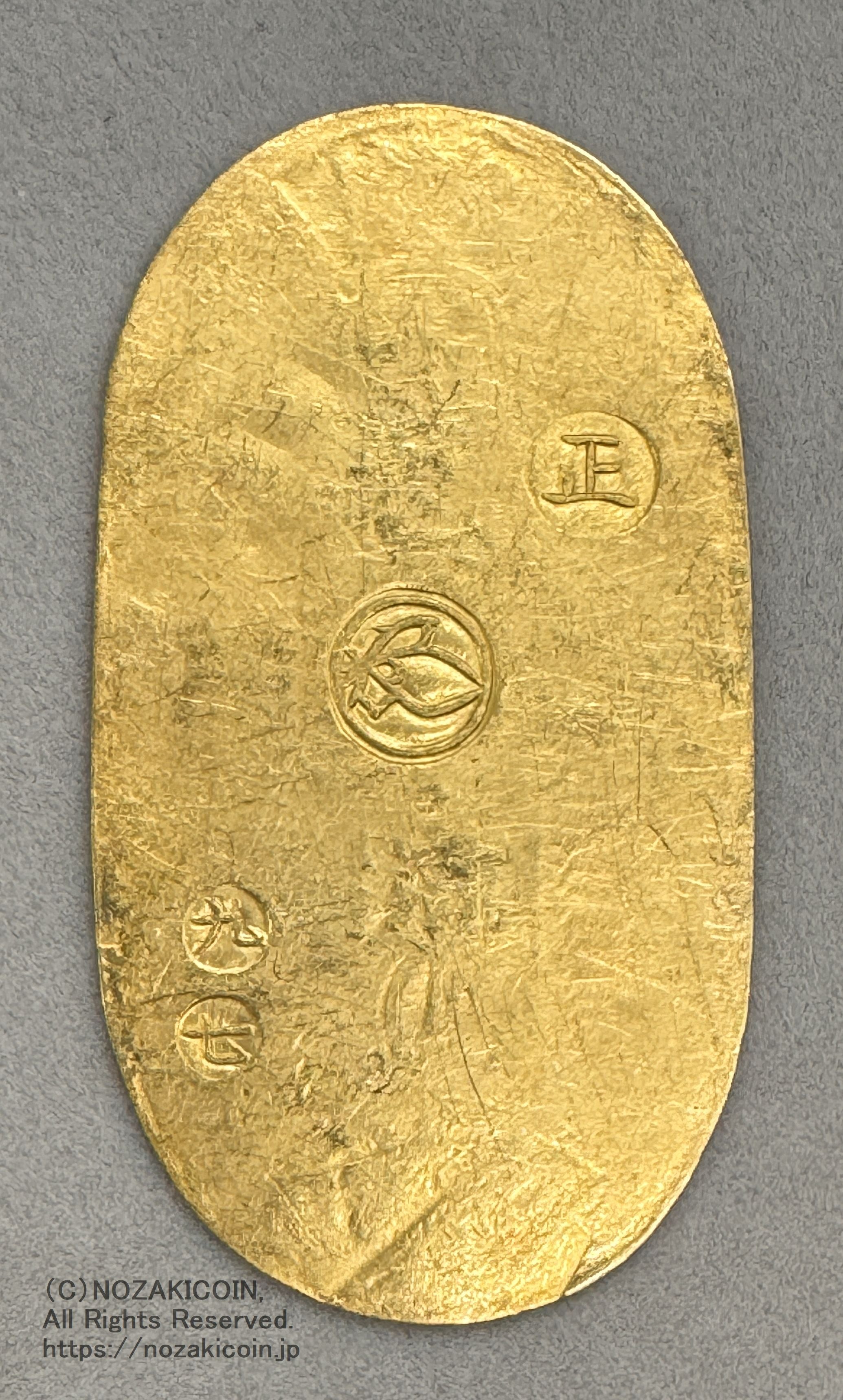 IMG_7684.jpg?v=1720598058