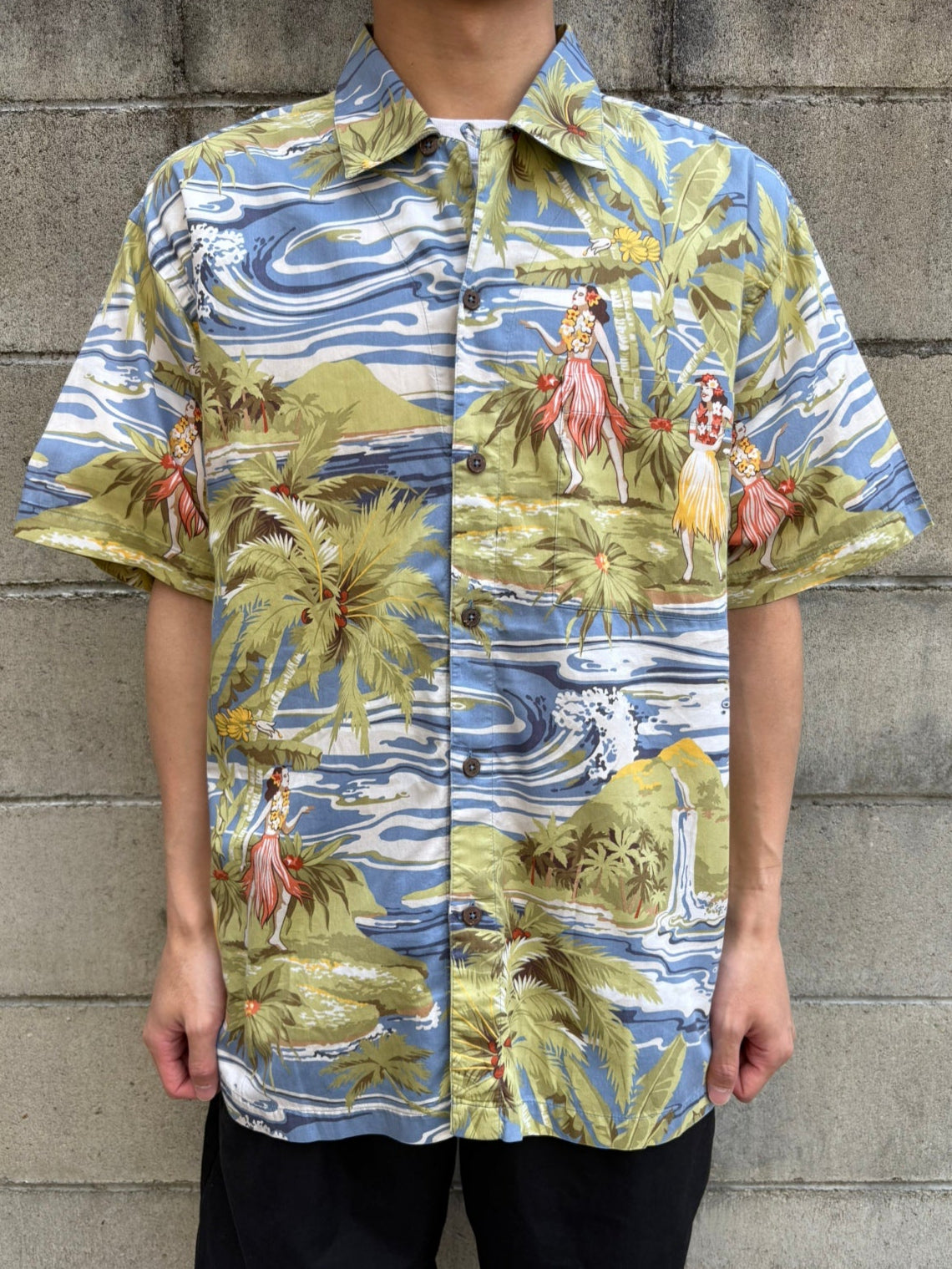 00's PATAGONIA 「Pataloha」アロハシャツ – FUJI STORE