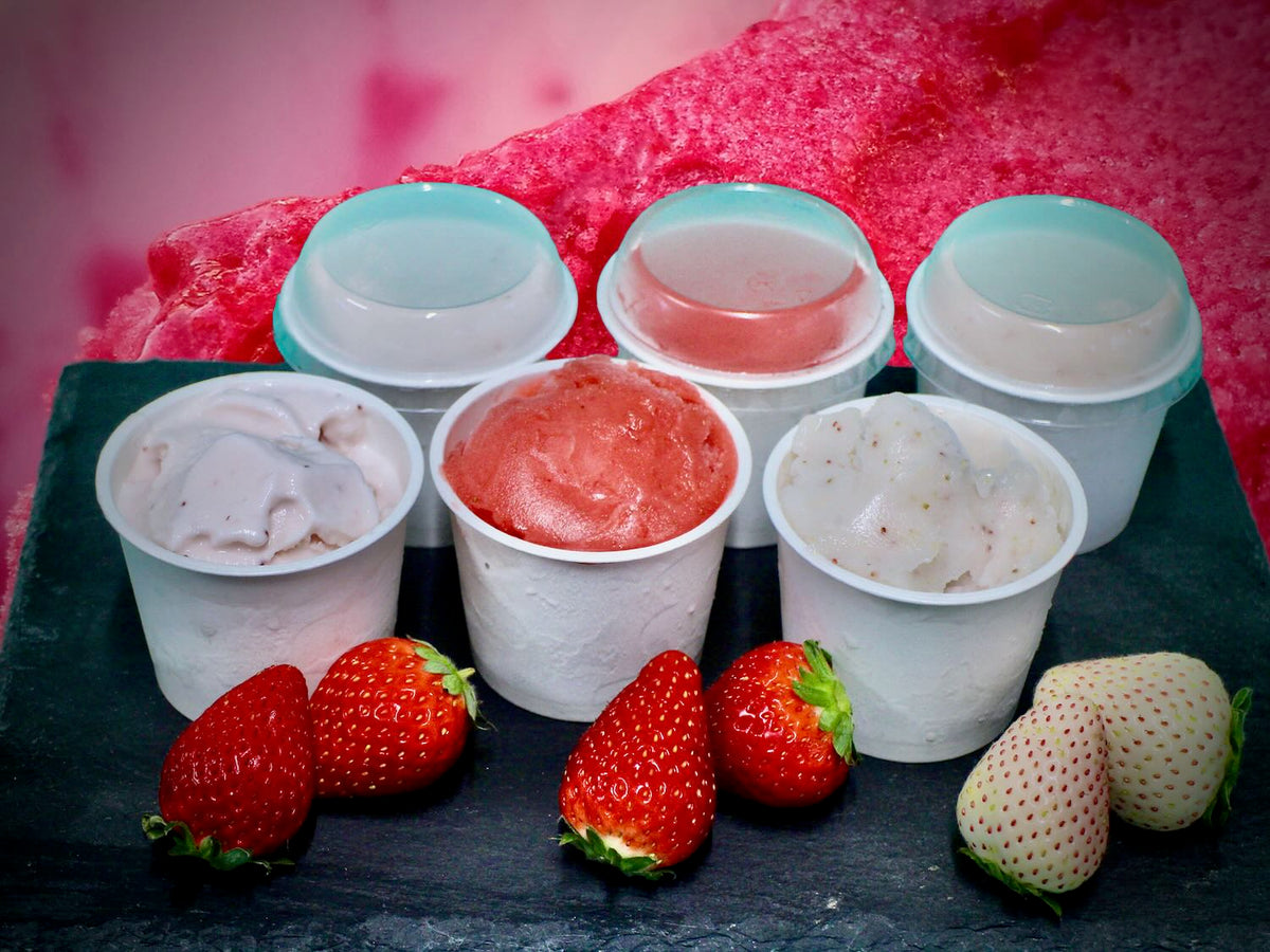 1310128002_1200x1200.jpg?v=