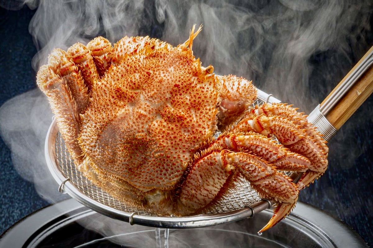 S__20275210_0_1200x1200.jpg?v=