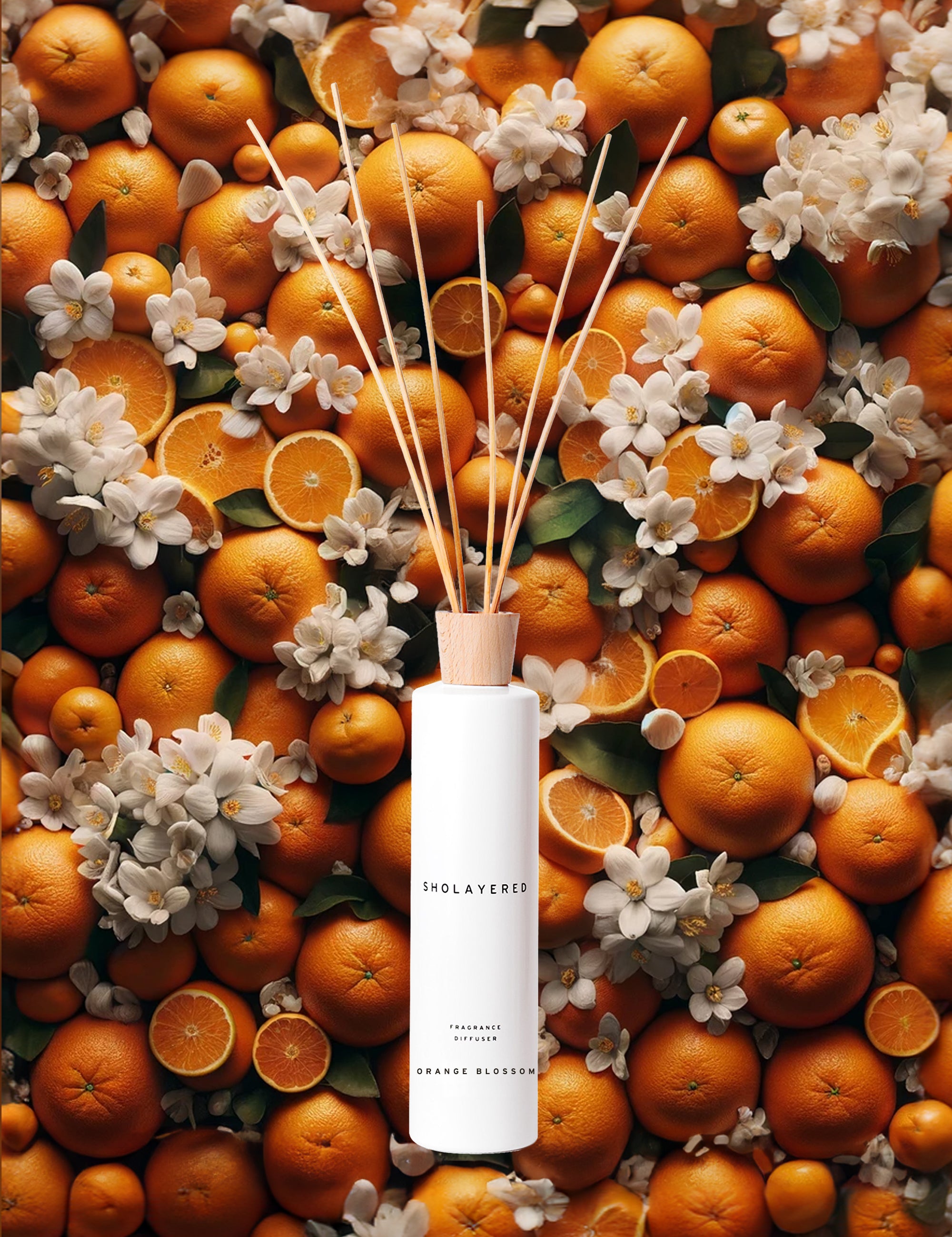 DF500_OB_0.jpg?v=1718765781