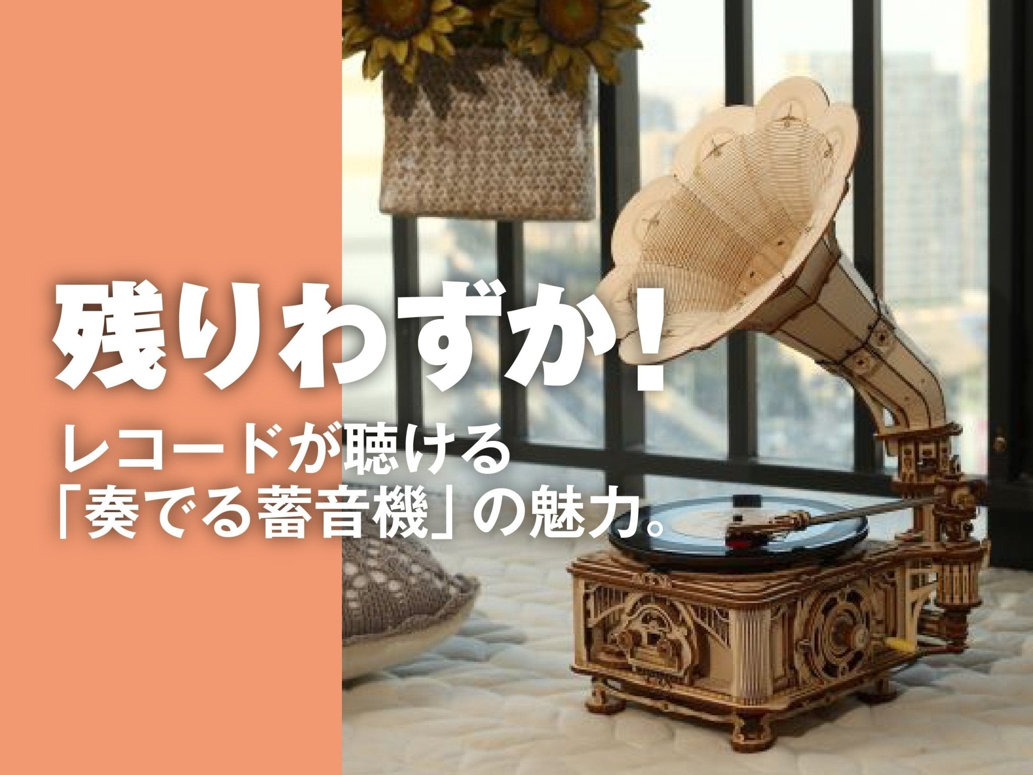 image-911311.jpg?v=1749225320&