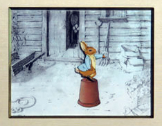 PeterRabbit/ピーターラビット