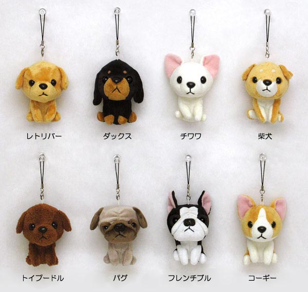 商品紹介 イヌ ベィビープードル baby nature MONSOON Dog Rep baby