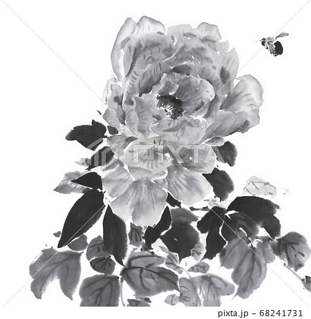 水墨画で描いた牡丹のイラスト素材 [68241731] - PIXTA