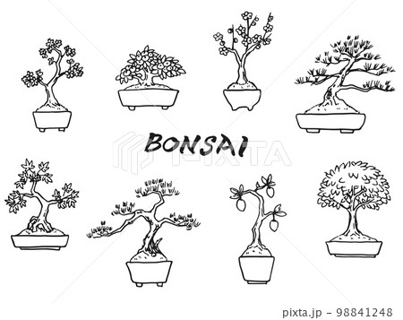盆栽イラスト（線画）のイラスト素材 [98841248] - PIXTA