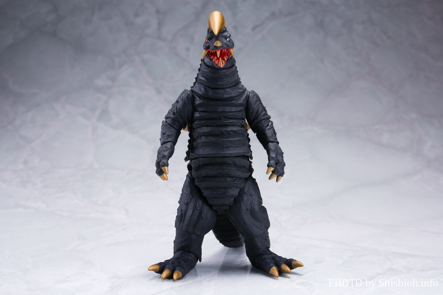 レビュー】 S.H.Figuarts ブラックキング