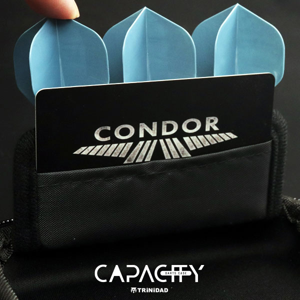 楽天市場】【SS限定10%offクーポン】 ダーツケース キャパシティー