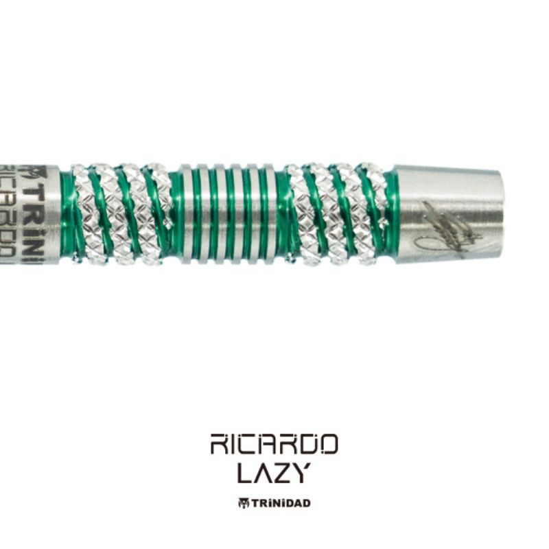 楽天市場】【SS限定10%offクーポン】 ダーツ リカルドレイジー 浅田斉