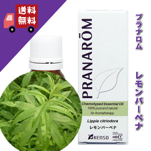 プラナロム 精油」の人気商品一覧 | 安い商品を通販サイトから探す