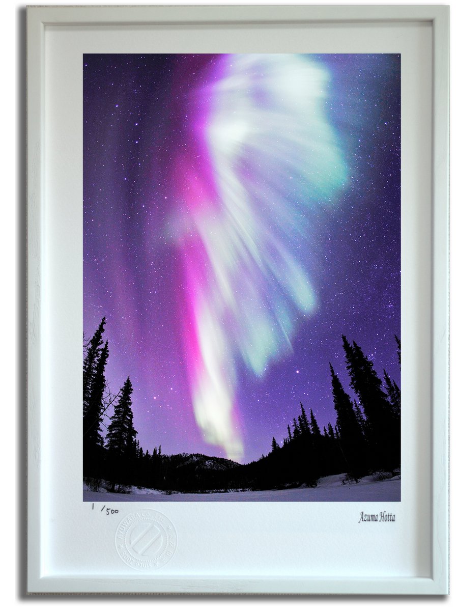 期間限定値下 AURORA 版画 絵画 【公式通販】