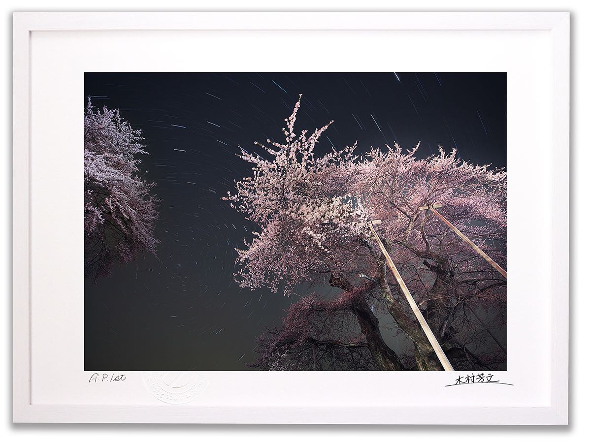 アクリル画 原画 「悠久の桜02」額縁付 SMサイズ アクリル画 原画