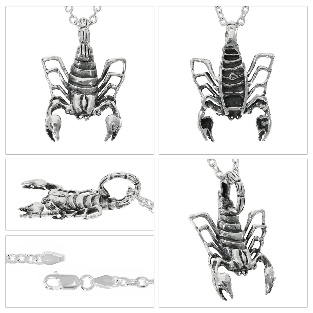 楽天市場】サソリ ネックレス ペンダント ペンダントトップ ペンダント