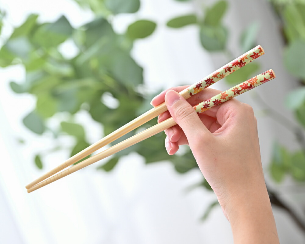 楽天市場】箸 食洗機対応 塗箸 白竹花柄アソート 10膳セット / お箸 は