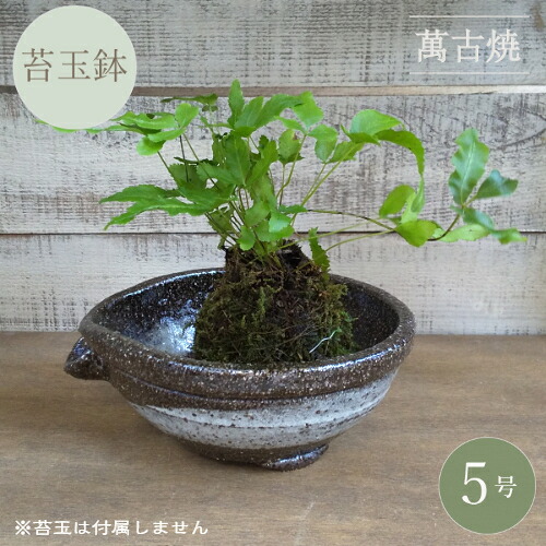 鉢 盆栽鉢 7号」の人気商品一覧 | 安い商品を通販サイトから探す