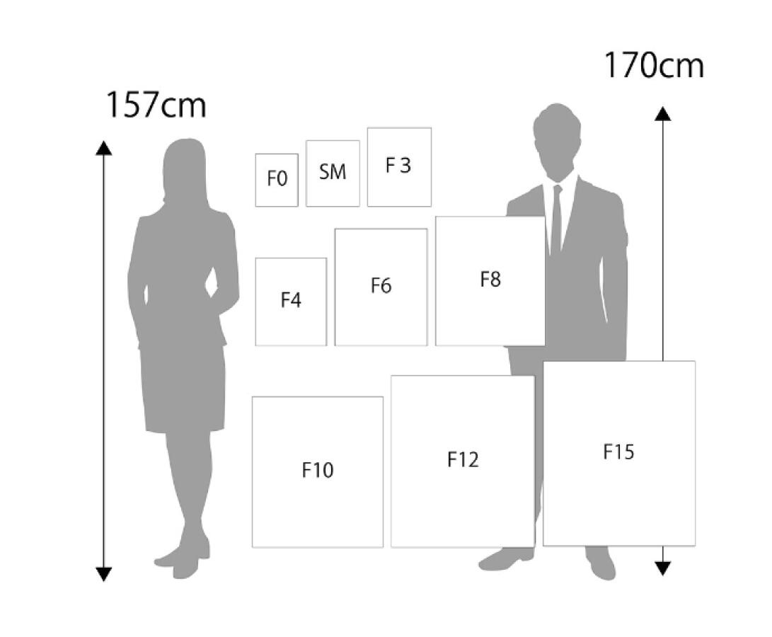 楽天市場】F6号 キャンバス付きアクリルボックス(410×318mm) お