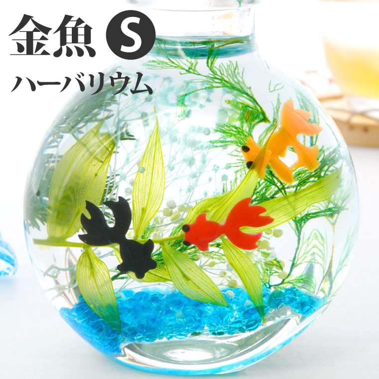 楽天市場】おもしろギフト 四季 玄関飾り 季節 観葉植物 ギフト