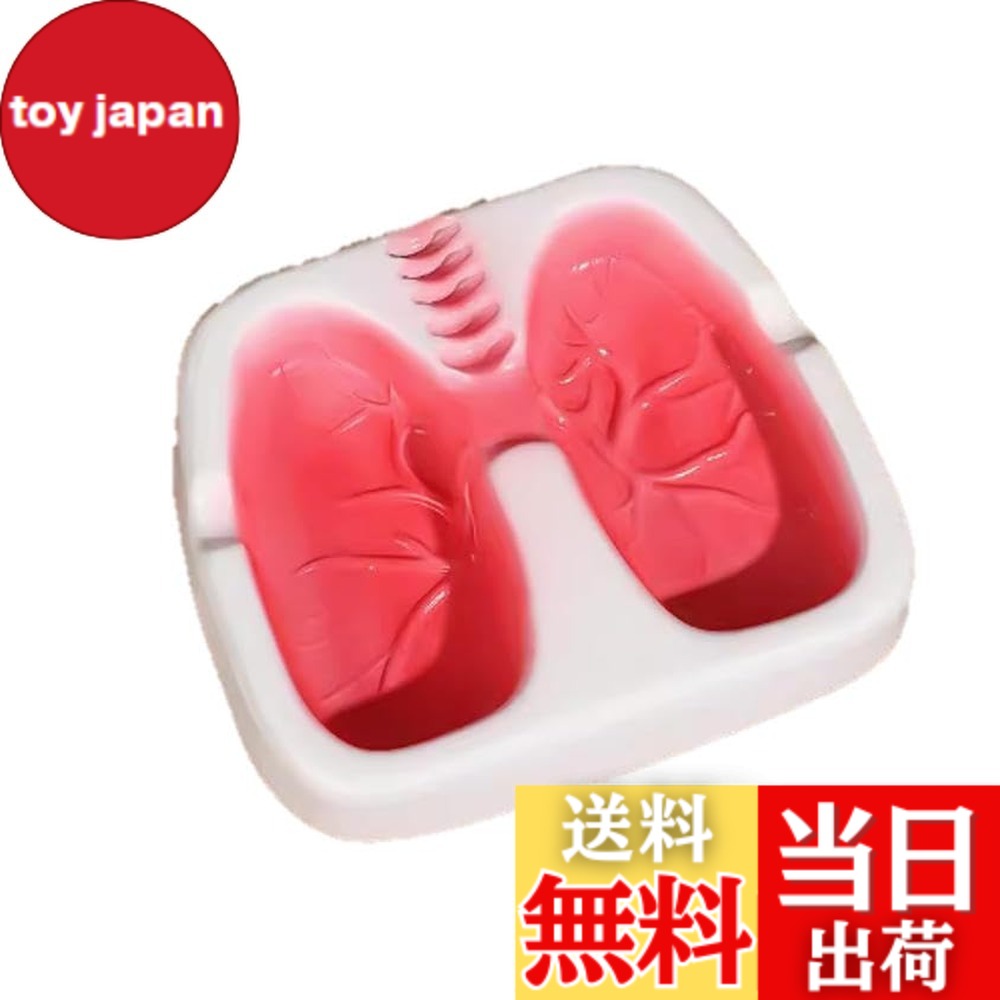 楽天市場】【送料無料】speed maoおもしろい 人間 肺型 灰皿 アッシュ