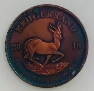 楽天市場】南アフリカ クルーガーランドの通販