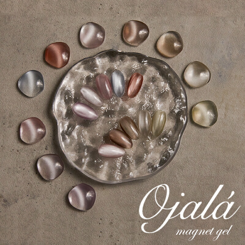 楽天市場】マグネットネイル 超微粒 5ミクロン ジェルネイル カラー