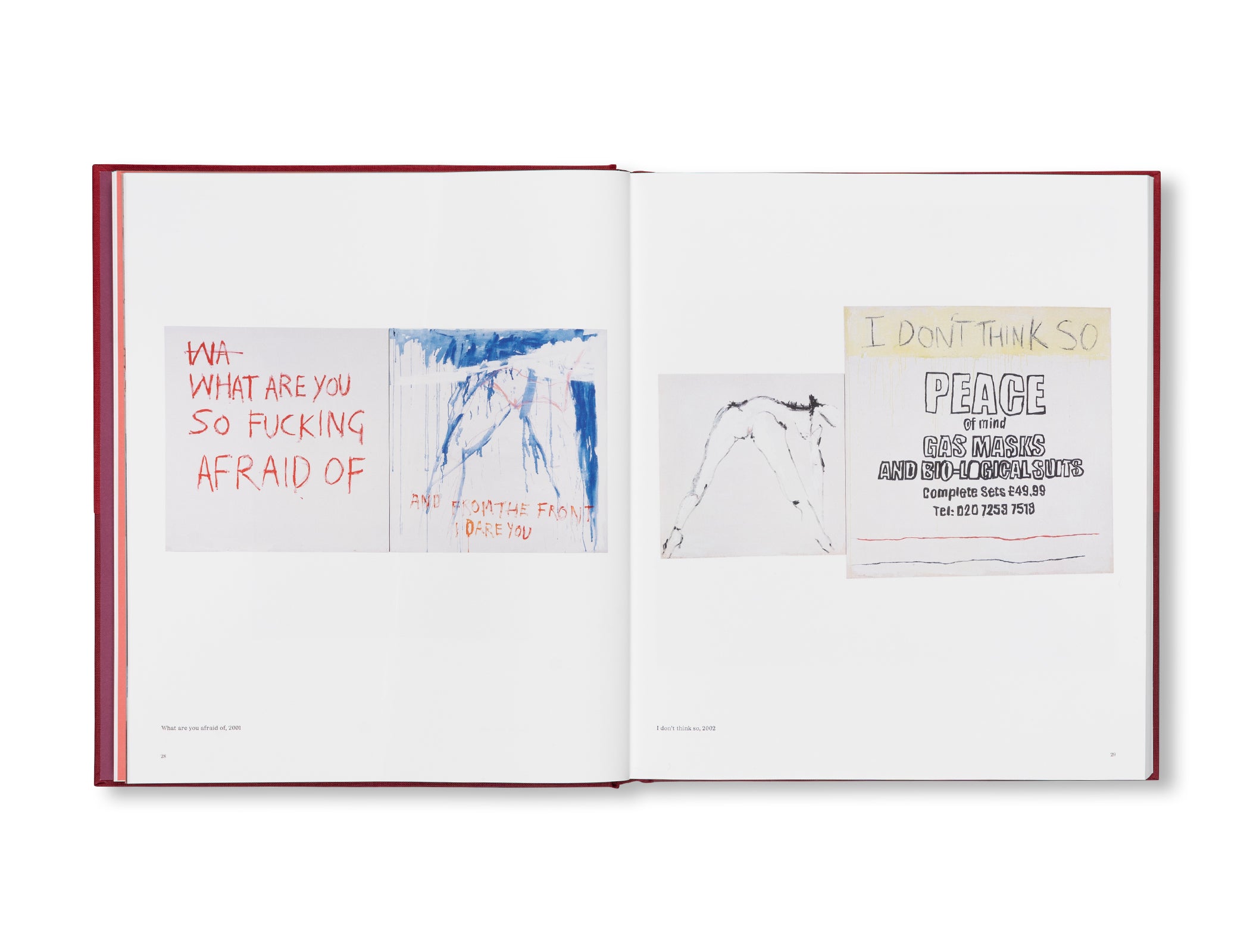 PAINTINGS by Tracey Emin – twelvebooks