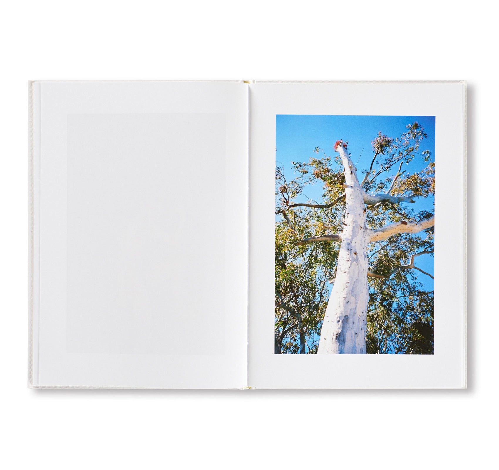 ATHENS LOVE by Ren Hang – twelvebooks