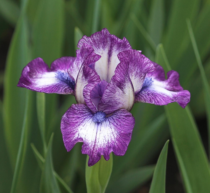 SdbLucky < Sdb < Iris Wiki