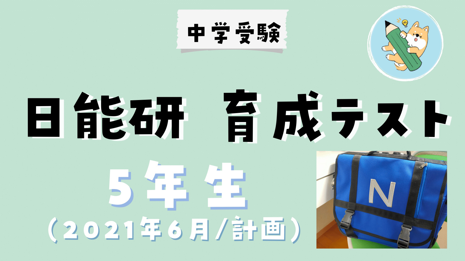 日能研 育成テスト☆小6【2022年度 前期】欠品なし☆6年生 2025年度