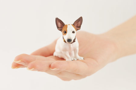 ほぼ日刊イトイ新聞 - ちいさなブイヨンができるまで。