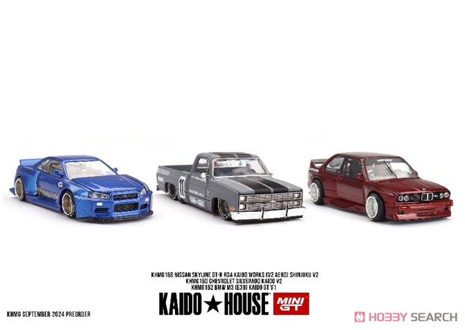 Nissan スカイライン GT-R R34 Kaido Works (V2 エアロ) SHINJUKU V2
