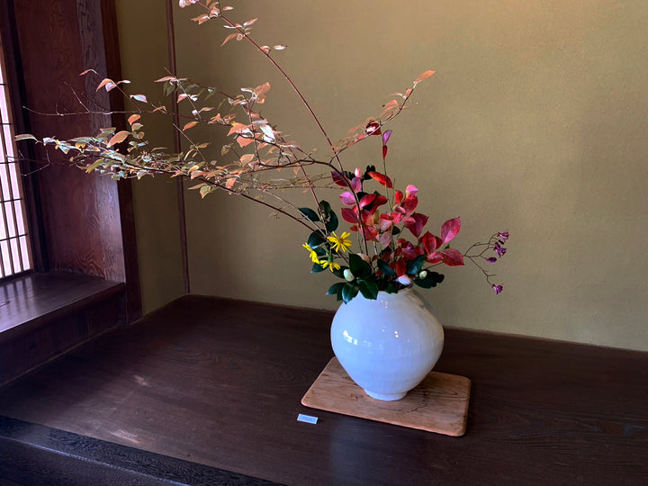 20240815_takenahatsubo_720x.