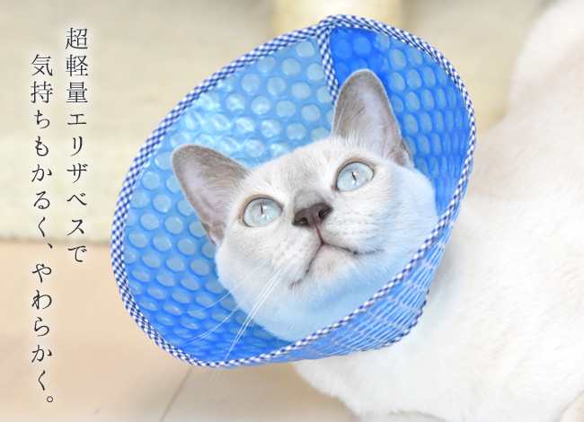 雑誌ananに掲載されました】猫用エリザベスカラー ソフトタイプ S