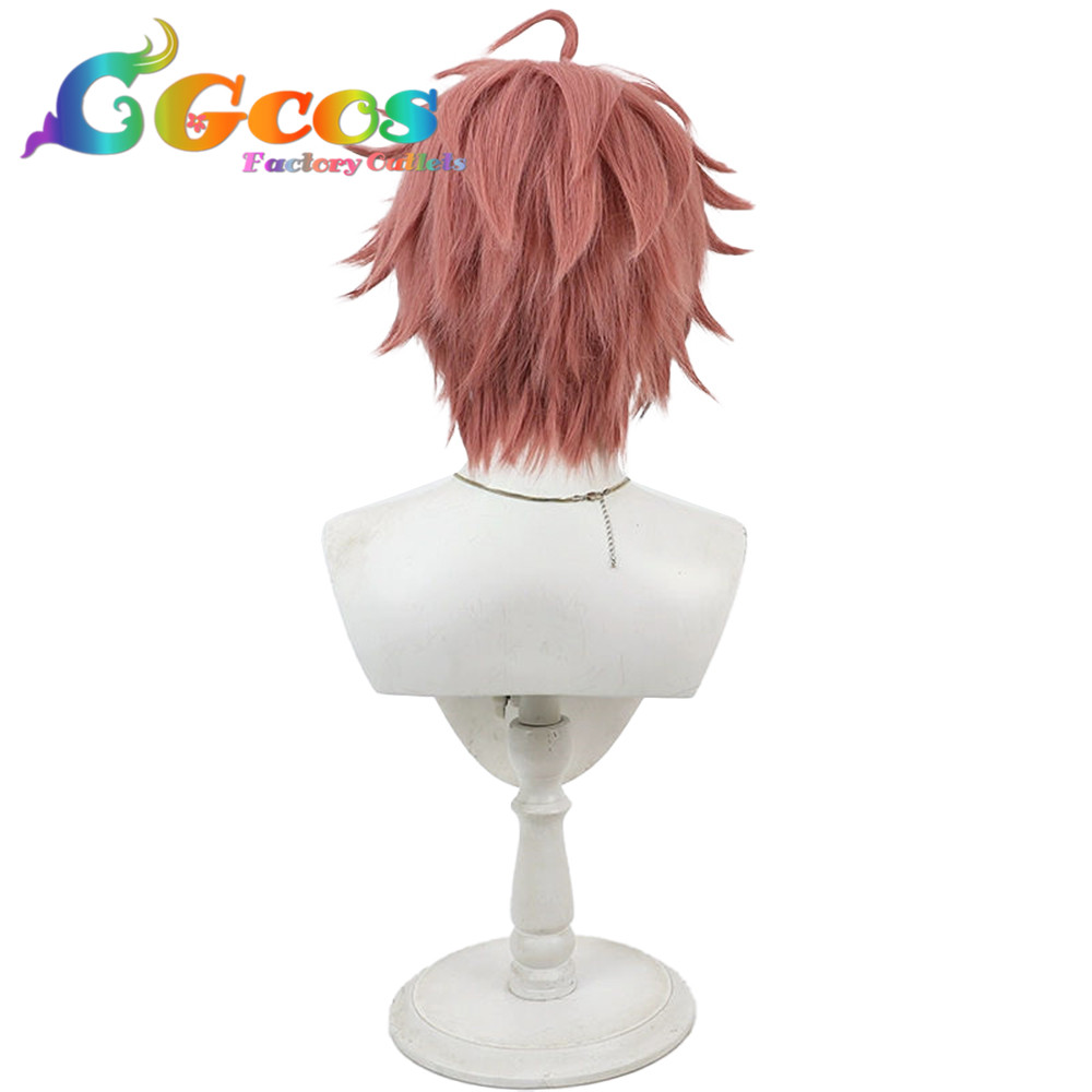 コスプレウィッグ バーチャルYouTuber VTuber 赤城ウェン