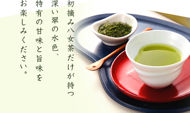 送料無料】【初回購入お試しセット】 2025年度摘み新茶 深蒸し八女茶