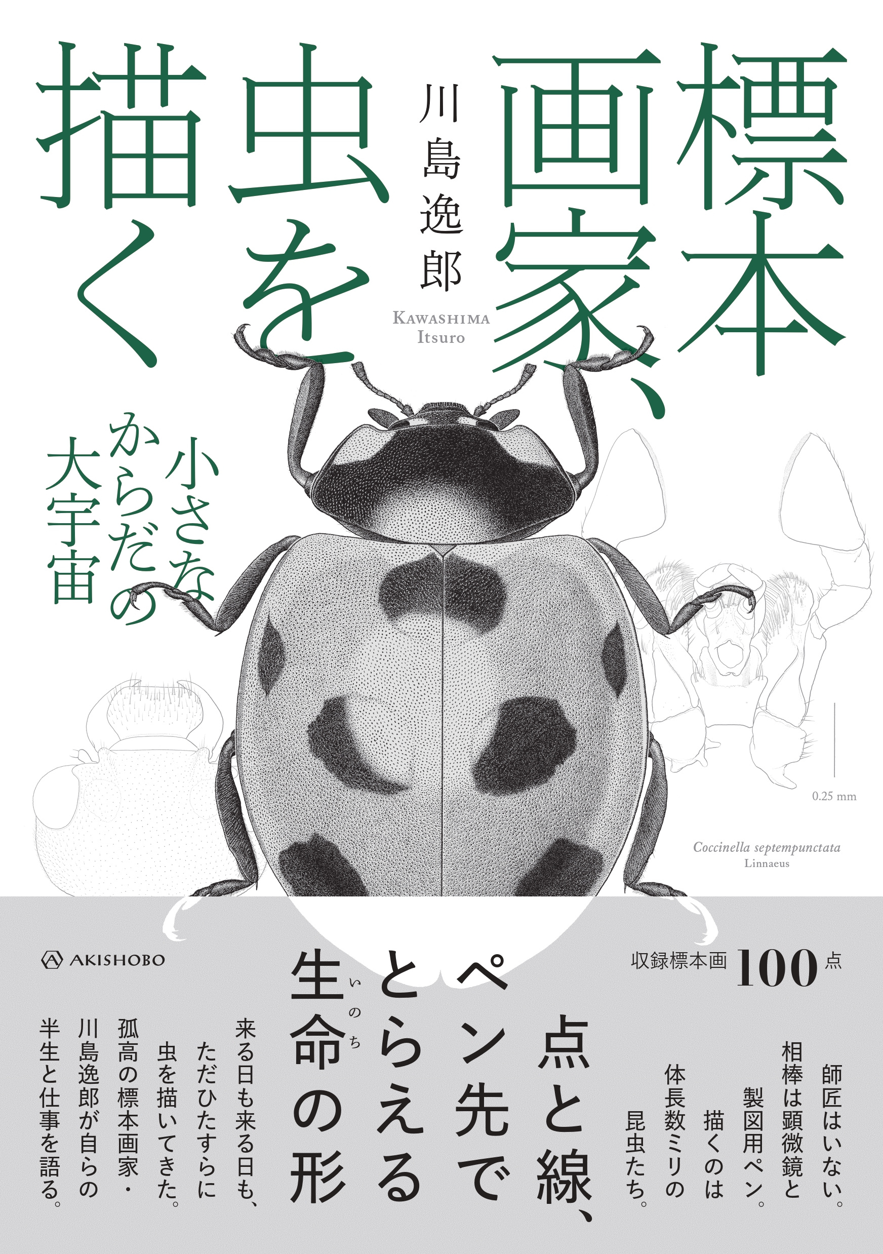 亜紀書房 - 標本画家、虫を描く 小さなからだの大宇宙