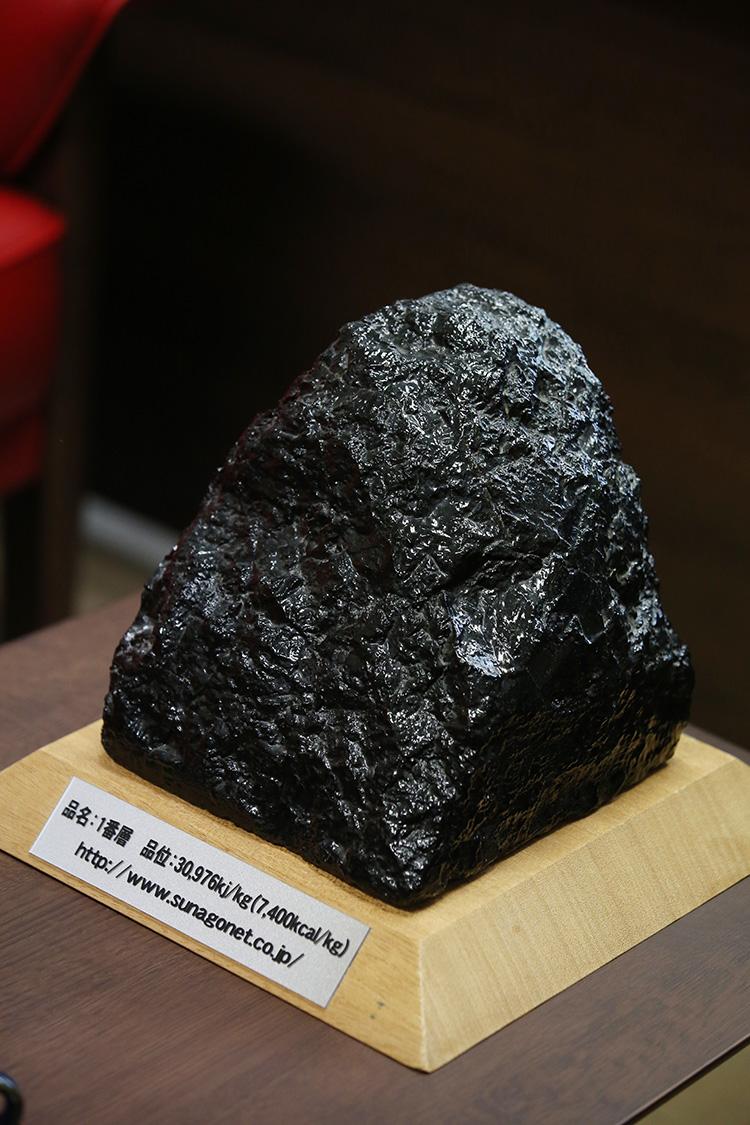 Lab Interview｜国立大学法人 秋田大学