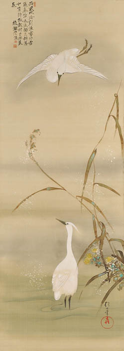 特別展】没後50年記念 福田平八郎×琳派 | 山種美術館 | 美術館・展覧会