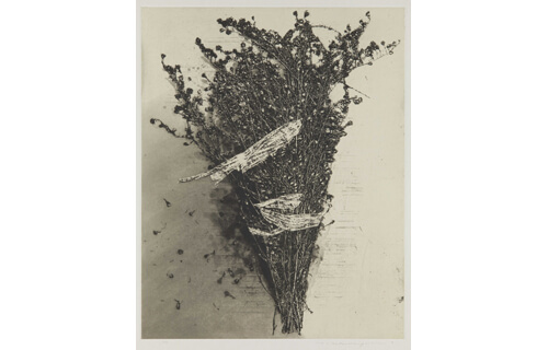 中林忠良銅版画展―腐蝕の海／地より光へ | 川越市立美術館 | 美術館