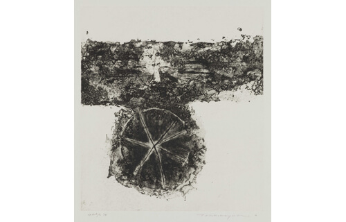 中林忠良銅版画展―腐蝕の海／地より光へ | 川越市立美術館 | 美術館