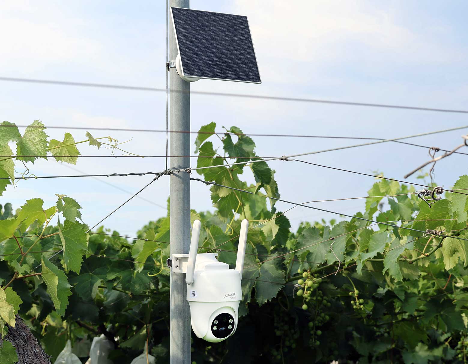 MC1導入実績 ｜ センサー式ソーラーカメラMC1