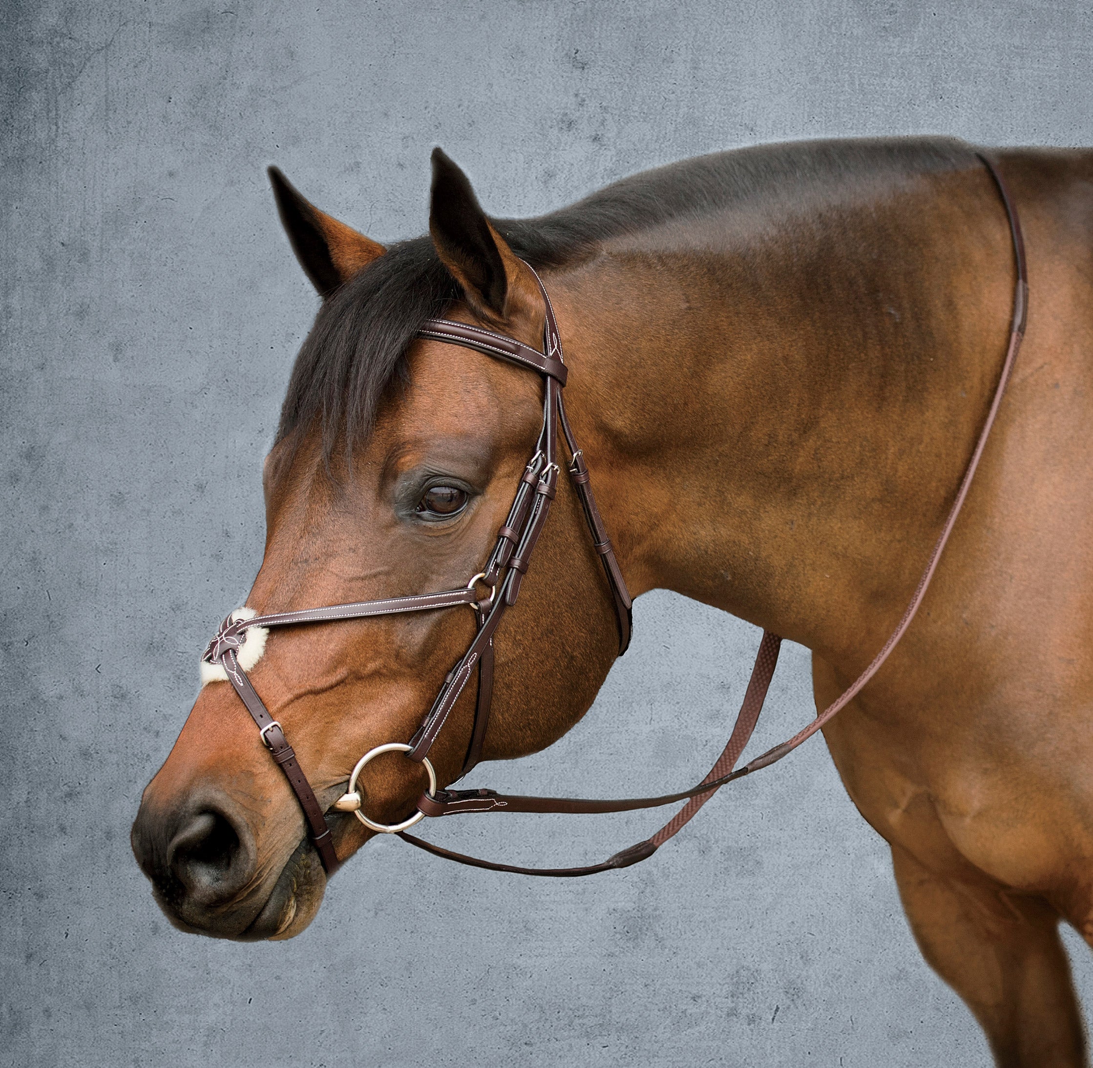 0012862665_Web.jpg?v=