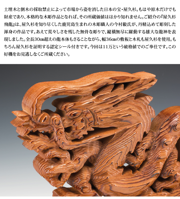 屋久杉 飛龍 ー 三宝堂オンラインショップ