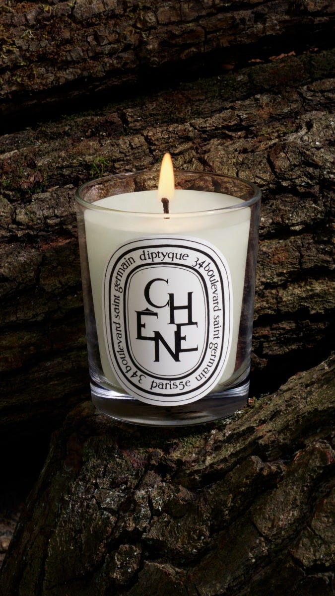 herbier_ctm_visuel_chene-