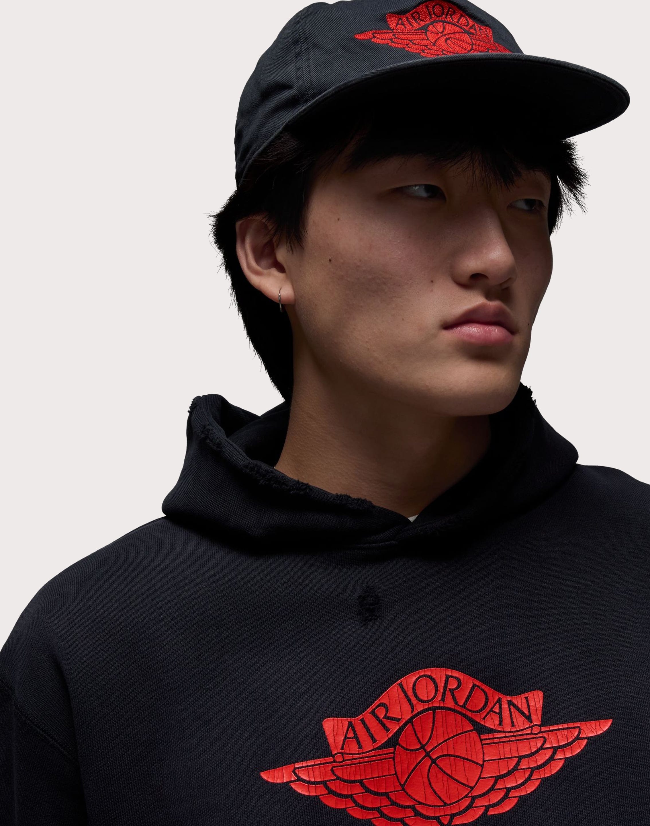 Jordan Jordan Rare Air Fleece Pullover Hoodie – DTLR