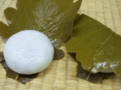 柏餅（かしわ餅） [栄屋菓子舗 餅屋の通販専門店]