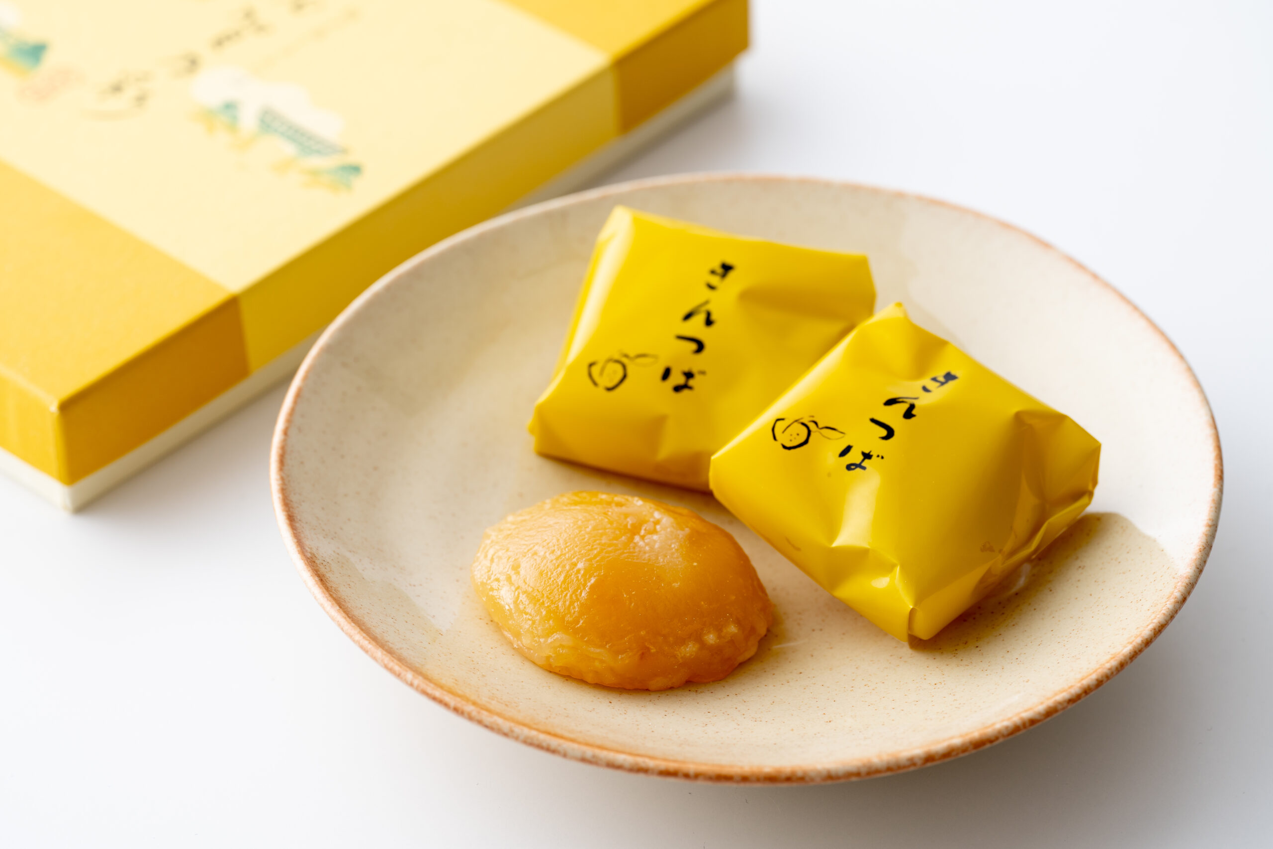 加賀乃彩 - 株式会社フジセイカ