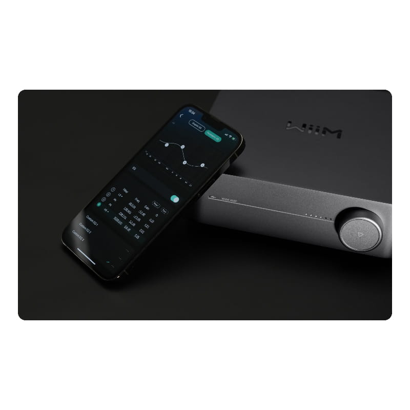 WiiM WiiM AMP Space Gray 新品｜フジヤエービック