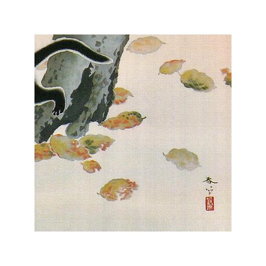 掛け軸 菱田春草 『柿に猫』 送料無料 【掛軸】【一間床・半間床】【秋