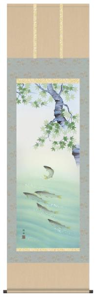 楓に鮎 長江桂舟 （夏） 尺五 【特価 】 日本製 夏 - 掛け軸（掛軸